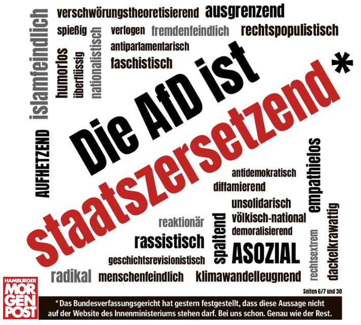 Mopo Titelseite "Afd ist staatszersetzend"2